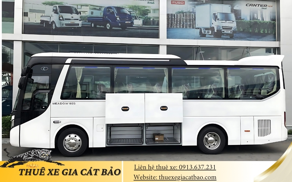 muon xe 29 cho thaco town