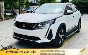 Cho thuê xe 7 chỗ Gia Cát Bảo