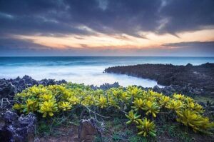 thue-xe-du-lich-phan-rang