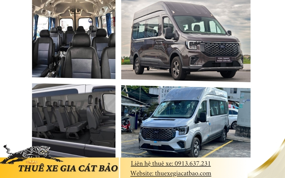 thue xe du lich 16 cho di hau giang