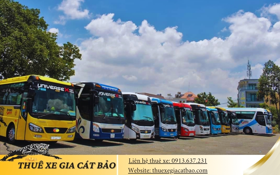 dich vu cho thue xe di gia lai pleiku